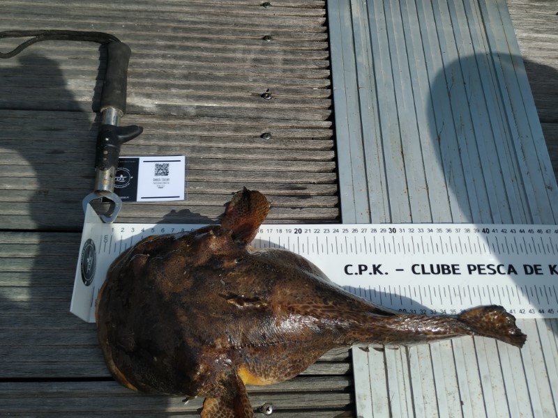 Fish Measure Picture